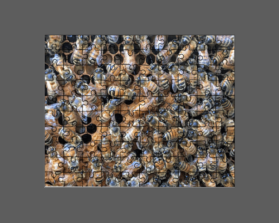 Queen Bee Puzzle 252 Pieces