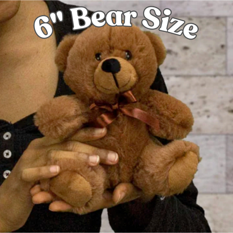 Comfort Teddy Bear | Emotional Support Bear Gift for Anxiety, Stress & Self Care with sign 10" X 6"