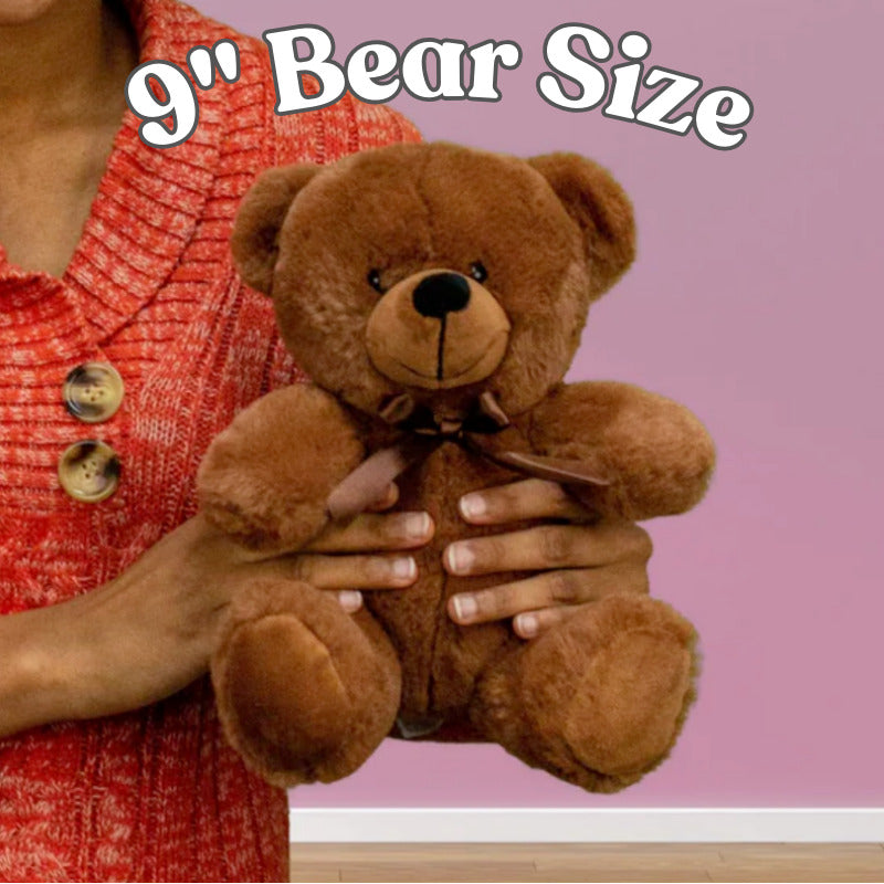 Comfort Teddy Bear | Emotional Support Bear Gift for Anxiety, Stress & Self Care with sign 10" X 6"