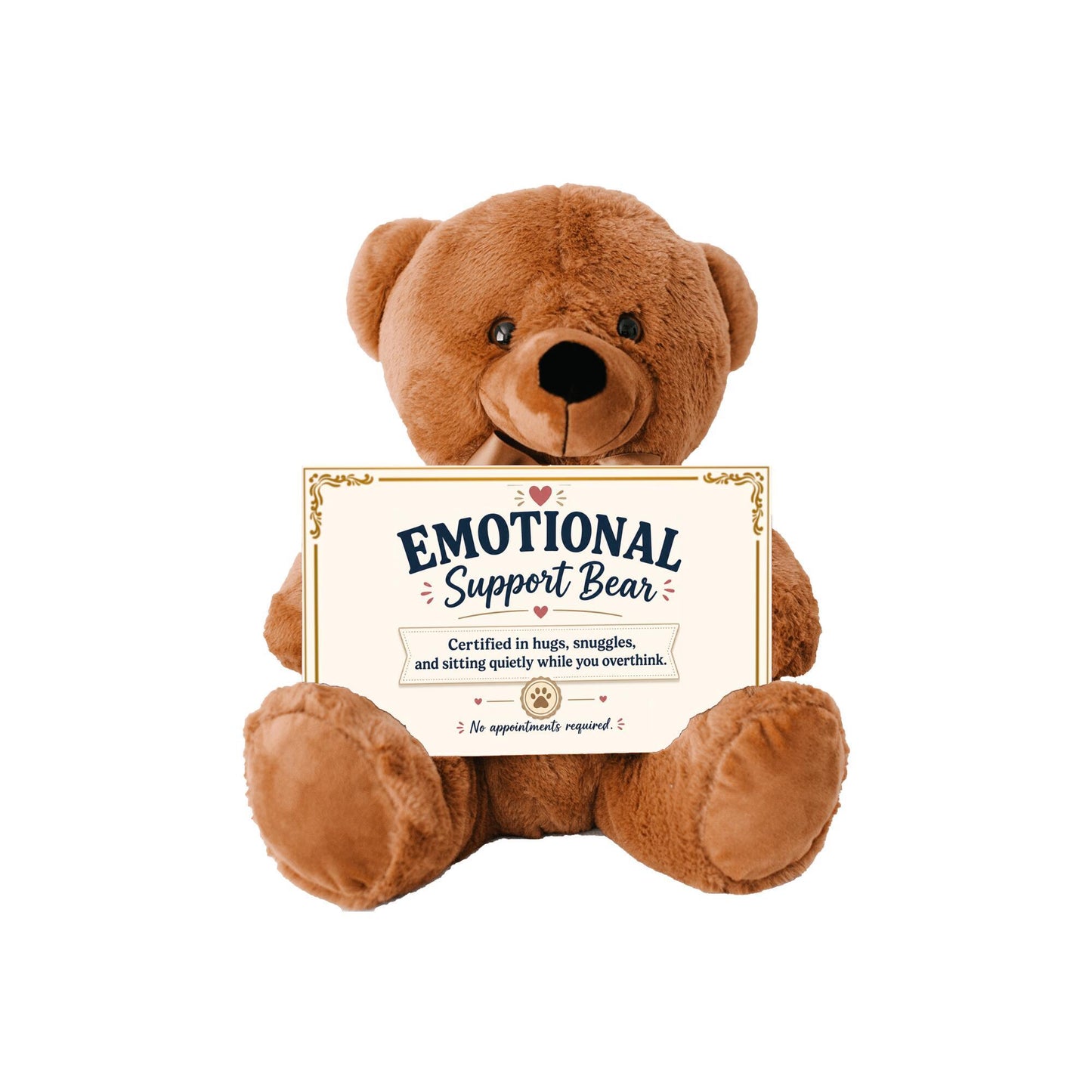 Comfort Teddy Bear | Emotional Support Bear Gift for Anxiety, Stress & Self Care with sign 10" X 6"
